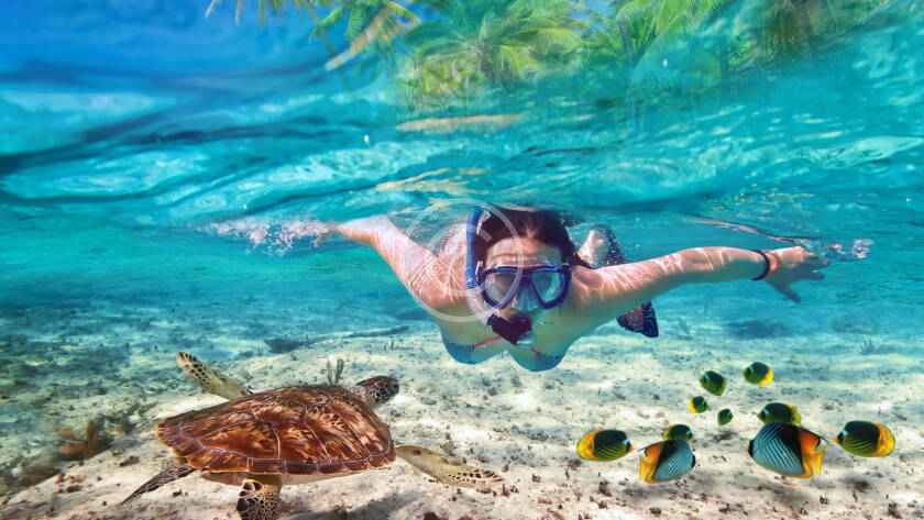 A person swimming in the ocean with a turtle.