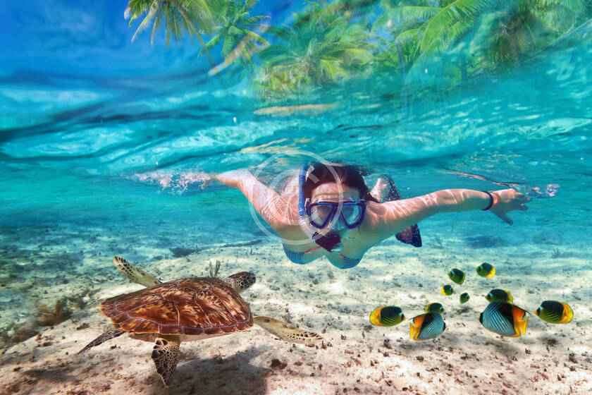 A person swimming in the ocean with a turtle.