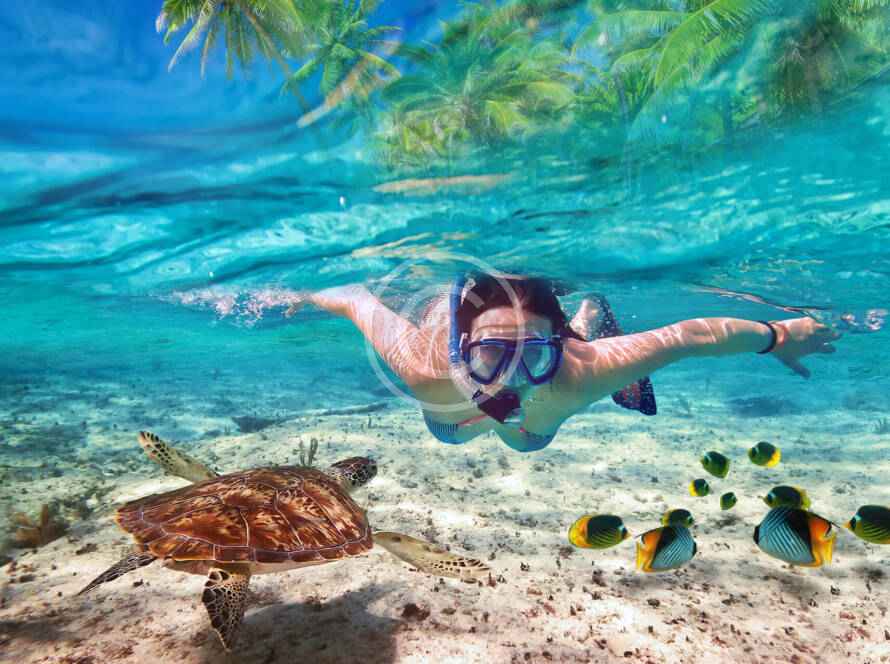 A person swimming in the ocean with a turtle.