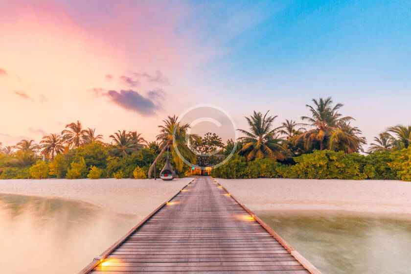 A wooden dock with palm trees in the background.