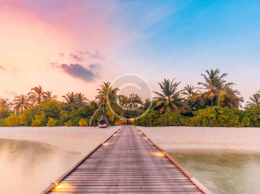 A wooden dock with palm trees in the background.
