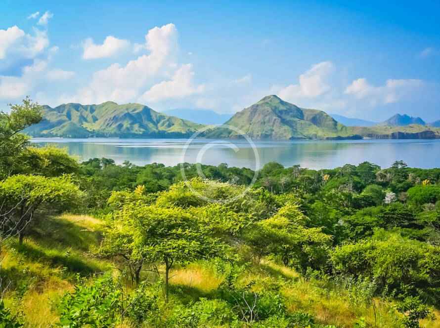 A painting of the ocean and mountains in the distance.