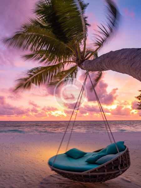 A person is sitting on the beach under a palm tree.