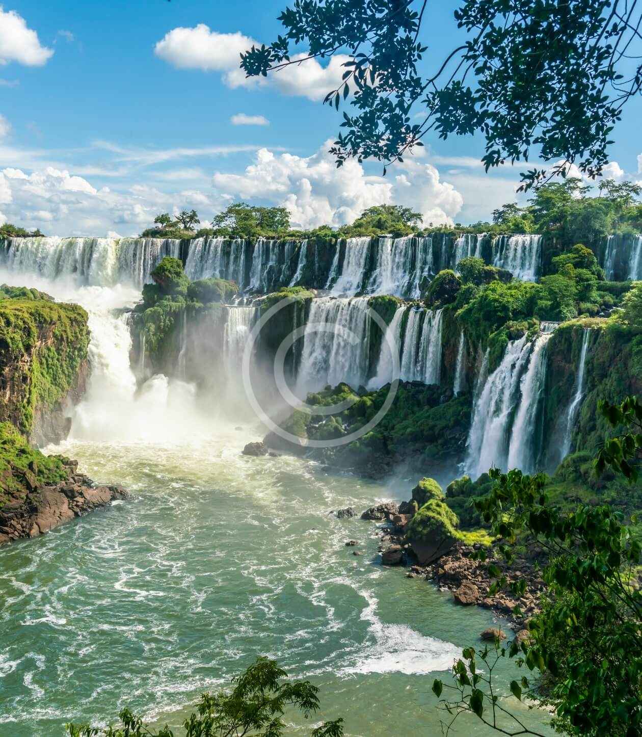 A waterfall with trees and bushes around it