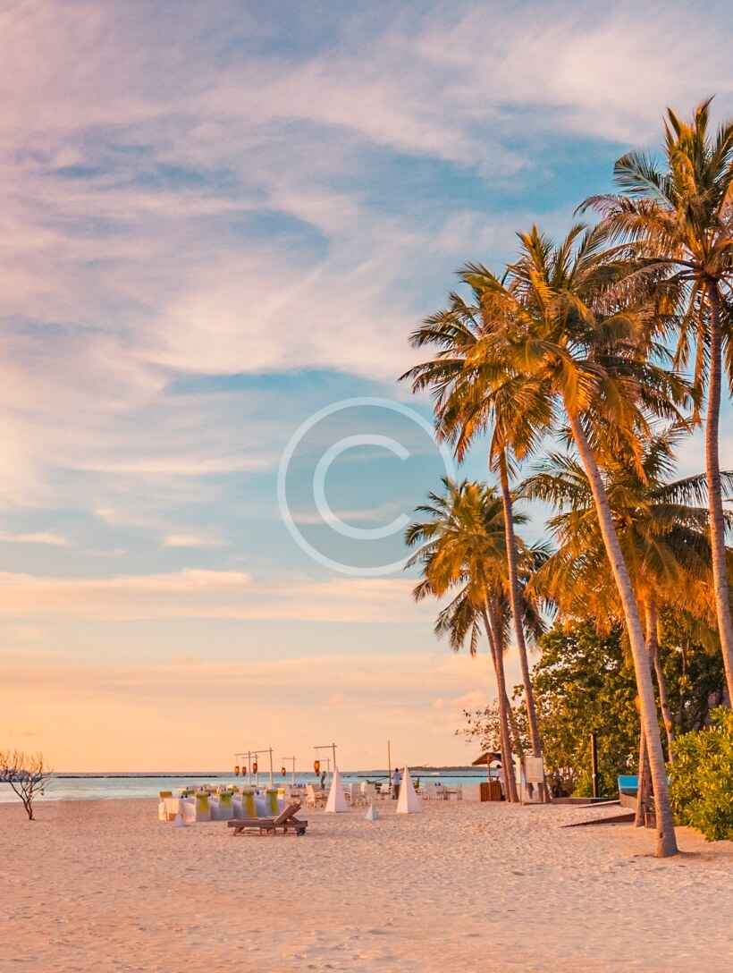 A beach with palm trees and people on it