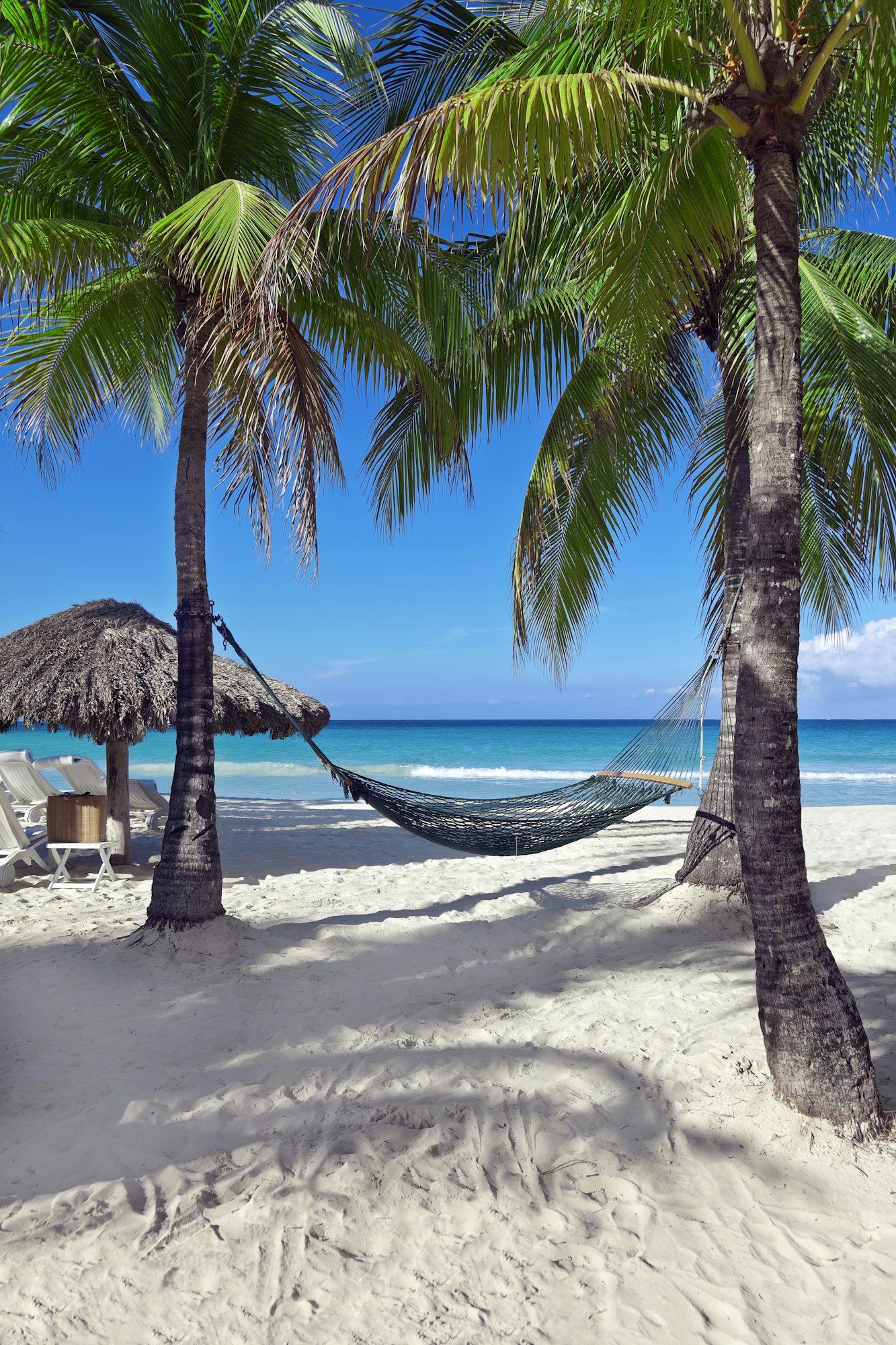 Tropical Vacation